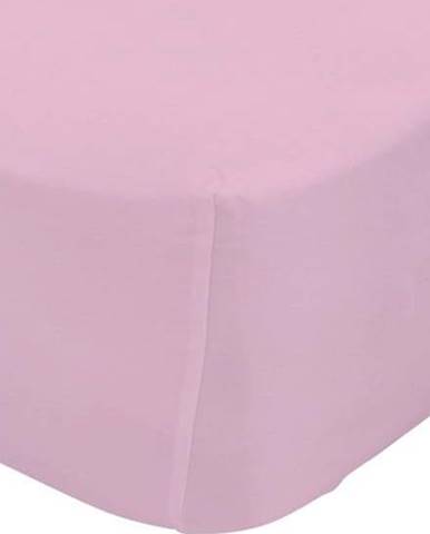 Růžové elastické prostěradlo z čisté bavlny Happy Friday Basic, 90 x 200 cm