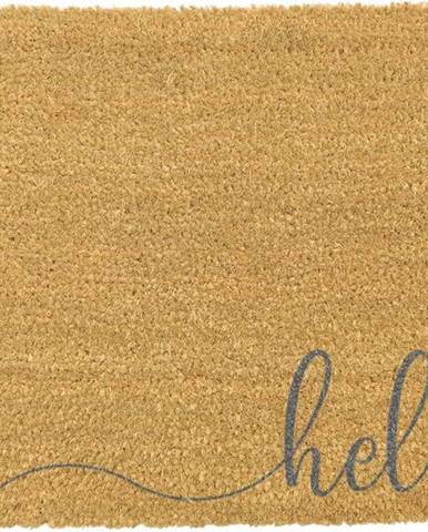 Šedá rohožka z přírodního kokosového vlákna Artsy Doormats Hello Scribble, 40 x 60 cm