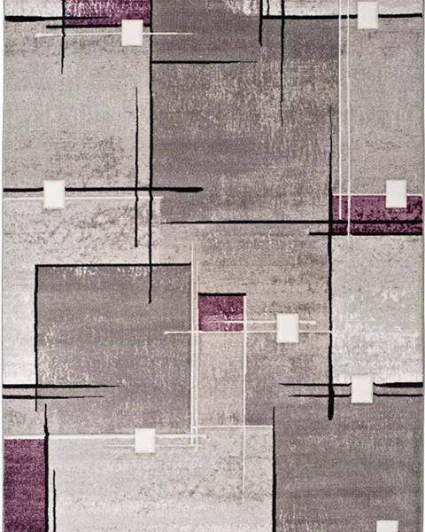 Universal Šedo-fialový koberec Universal Detroit, 140 x 200 cm
