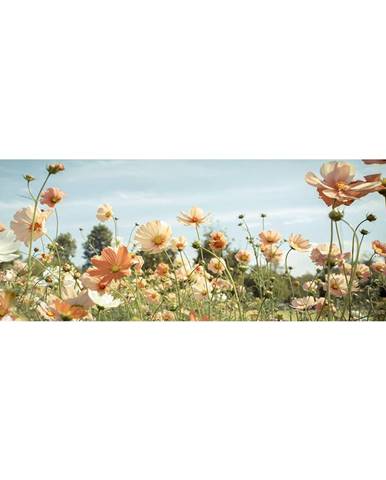 Monee OBRAZ NA SKLE, květiny, 125/50 cm