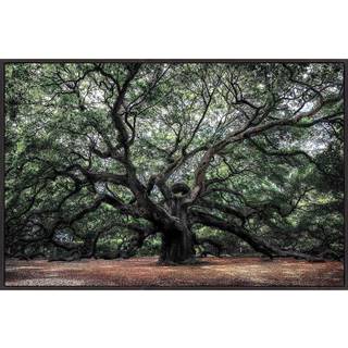 Monee OBRAZ SKLENĚNÝ, stromy, 120/80 cm