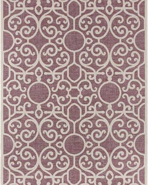 Bougari Fialovo-béžový venkovní koberec NORTHRUGS Nebo, 160 x 230 cm
