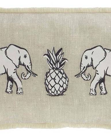 Béžový polštář Pineapple Elephant Tembo, 30 x 50 cm