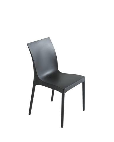 Plastová Židle Eset Černá
