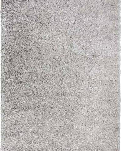 Světle šedý koberec Flair Rugs Sparks, 120 x 180 cm