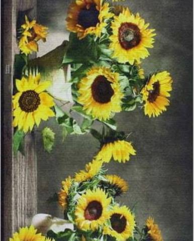 Běhoun Universal Ricci Sunflowers, 52 x 100 cm