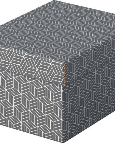 Sada 3 šedých úložných boxů Esselte Home, 20 x 25,5 cm