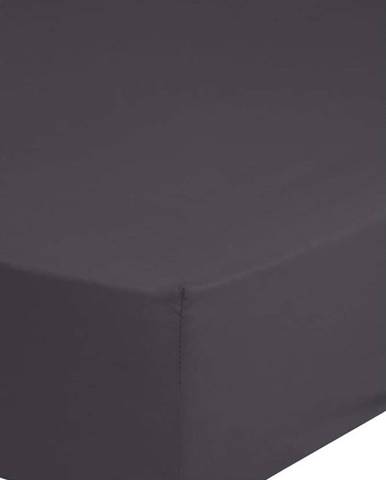 Tmavě šedé bavlněné elastické prostěradlo Good Morning, 90 x 200 cm