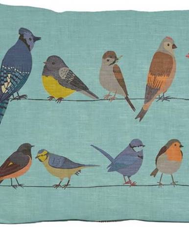 Modrý polštář Little Nice Things Fancy Birds, 35 x 50 cm