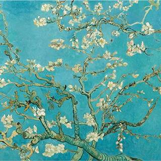 Reprodukce obrazu Vincenta van Gogha - Almond Blossom, 60 x 45 cm