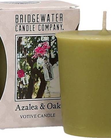 Votivní svíčka Bridgewater Candle Company Azalka a dub, doba hoření 15 hodin
