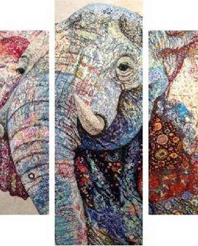 5dílný obraz Elephant