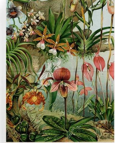 Obraz na plátně Surdic Jungle Flowers, 50 x 70 cm