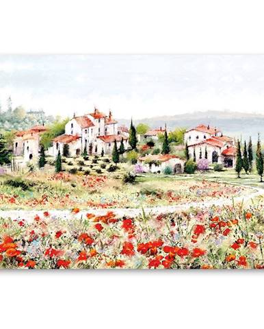 Obraz na plátně Styler Red Meadow, 60 x 80 cm