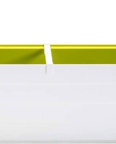 Bílo-zelený samozavlažovací truhlík, délka 59 cm Berberis - Plastia