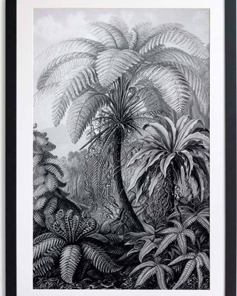 Surdic Černobílý plakát Surdic Palm, 60 x 40 cm