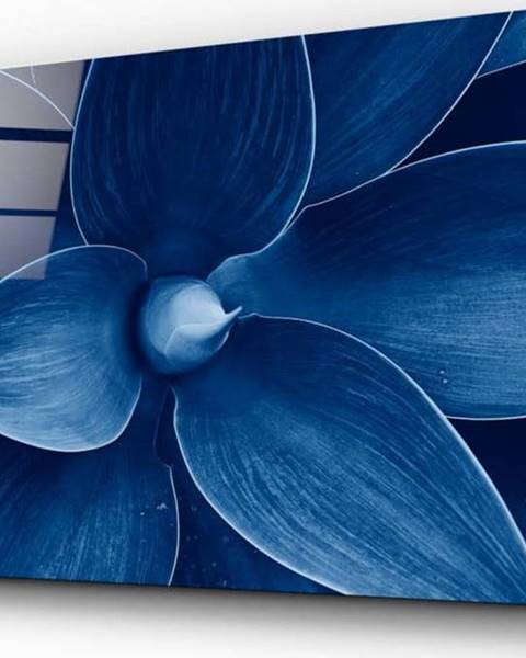 Insigne Skleněný obraz Insigne Makro Flower, 72 x 46 cm
