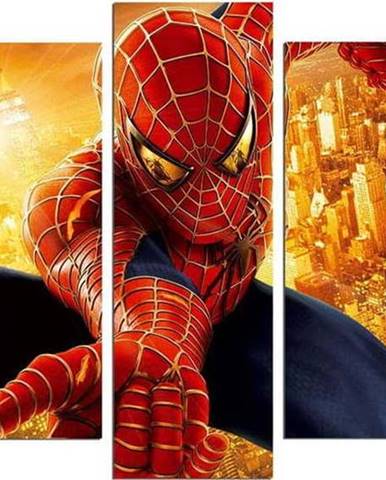5dílný obraz Spider Man
