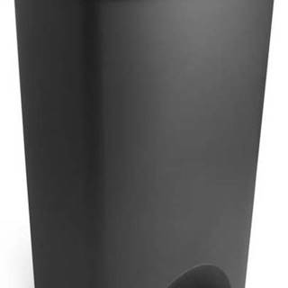 Černý pedálový odpadkový koš s víkem Addis, 41 x 33 x 62,5 cm