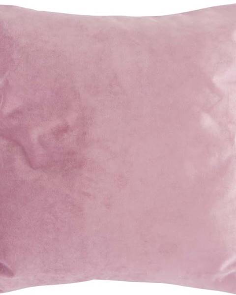 PT LIVING Růžový sametový polštář PT LIVING Tender, 40 x 40 cm