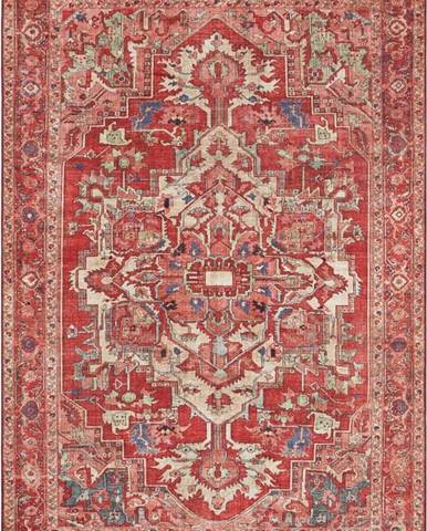 Červený koberec Nouristan Leta, 200 x 290 cm