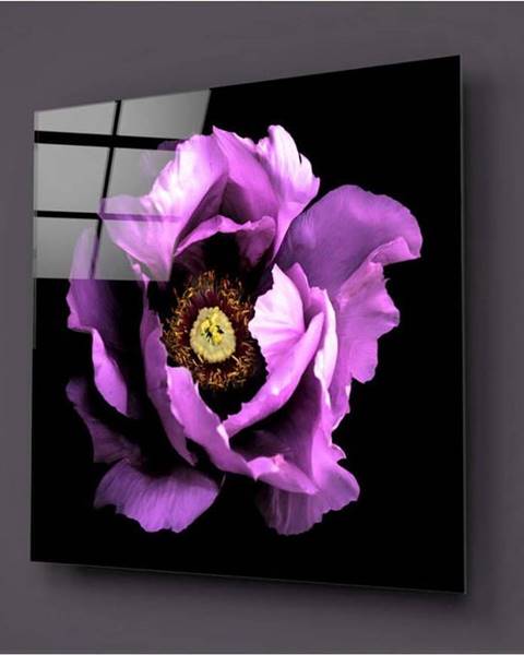 Insigne Černo-fialový skleněný obraz Insigne Calipsa Purple, 30 x 30 cm