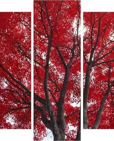 Vícedílný obraz 3D Art Red Passion, 102 x 60 cm
