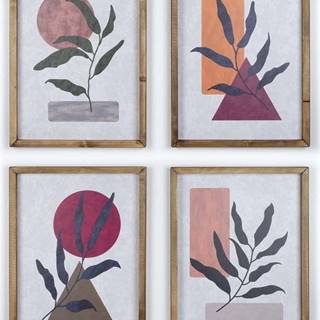 Sada 4 obrazů Kate Louise Plants, 36 x 48 cm