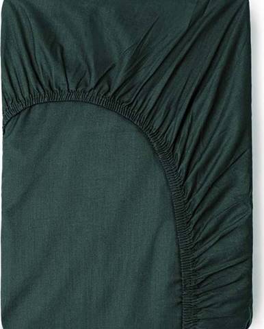 Olivově zelené bavlněné elastické prostěradlo Good Morning, 160 x 200 cm