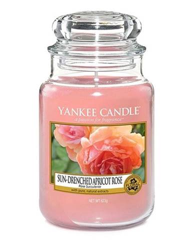 Svíčka Yankee candle Vyšisovaná meruňková růže, 623g