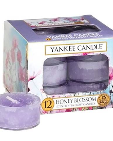 Svíčka Yankee candle Medový kvítek, 12ks