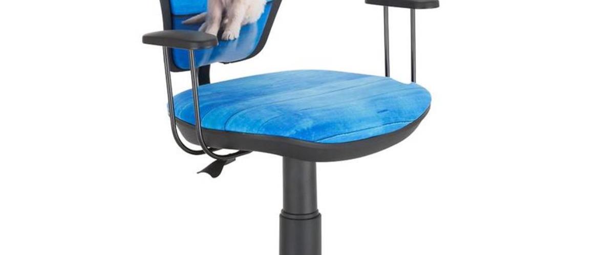 Otáčecí Židle Ministyle Black – Bílý Labrador